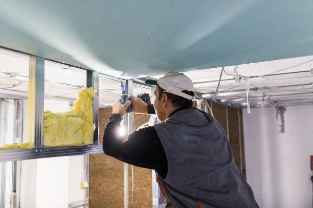 Best Insulation for Specific Applications in Minnehaha, WA