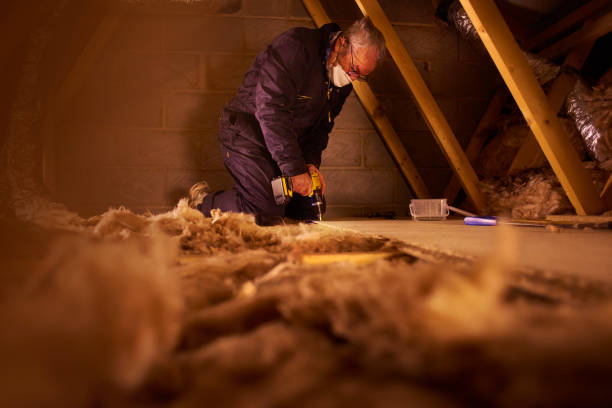 Best Insulation Maintenance and Repair in Minnehaha, WA
